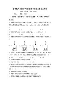 鲁教版九年级化学(上册)期中质量分析卷及答案