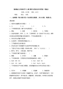 鲁教版九年级化学(上册)期中试卷及参考答案（精品）