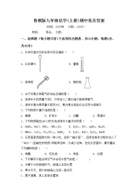 鲁教版九年级化学(上册)期中卷及答案