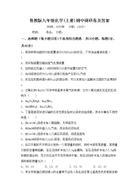 鲁教版九年级化学(上册)期中调研卷及答案