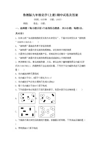 鲁教版九年级化学(上册)期中试卷及答案