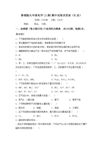 鲁教版九年级化学(上册)期中试卷及答案（汇总）