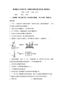 鲁教版九年级化学上册期中测试卷及答案【精选】