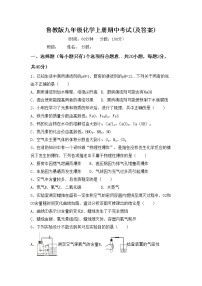 鲁教版九年级化学上册期中考试(及答案)练习题