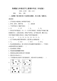 鲁教版九年级化学上册期中考试（审定版）练习题