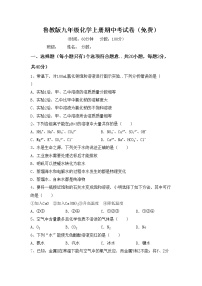 鲁教版九年级化学上册期中考试卷（免费）