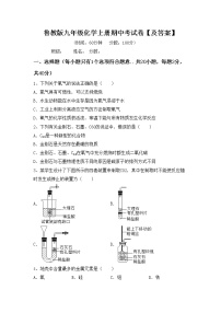 鲁教版九年级化学上册期中考试卷【及答案】