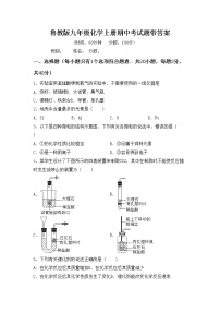 鲁教版九年级化学上册期中考试题带答案