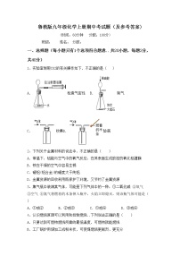 鲁教版九年级化学上册期中考试题（及参考答案)