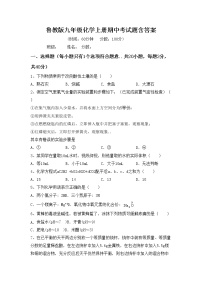 鲁教版九年级化学上册期中考试题含答案