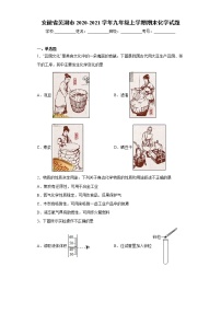 2020-2021学年安徽省芜湖市九年级上学期期末化学试题（含答案与解析）