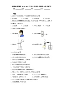 2020-2021学年福建省莆田市九年级上学期期末化学试题（含答案与解析）