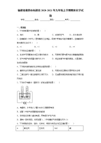 2020-2021学年福建省莆田市仙游县九年级上学期期末化学试题（含答案与解析）