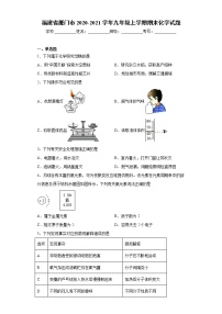 2020-2021学年福建省厦门市九年级上学期期末化学试题（含答案与解析）