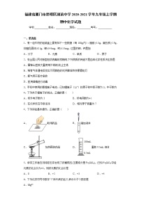 2020-2021学年福建省厦门市思明区湖滨中学九年级上学期期中化学试题（含答案与解析）