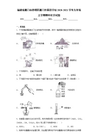 2020-2021学年福建省厦门市思明区厦门外国语学校九年级上学期期中化学试题（含答案与解析）