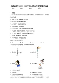 2020-2021学年福建省漳州市九年级上学期期末化学试题（含答案与解析）