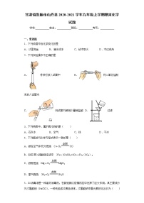 2020-2021学年甘肃省张掖市山丹县九年级上学期期末化学试题（含答案与解析）