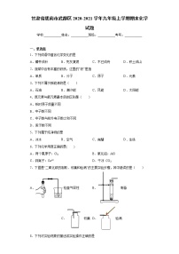 2020-2021学年甘肃省陇南市武都区九年级上学期期末化学试题（含答案与解析）