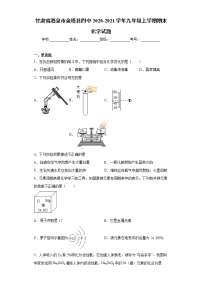 2020-2021学年甘肃省酒泉市金塔县四中九年级上学期期末化学试题（含答案与解析）