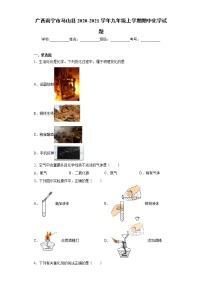 2020-2021学年广西南宁市马山县九年级上学期期中化学试题（含答案与解析）