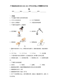 2020-2021学年广西桂林市灵川县九年级上学期期中化学试题（含答案与解析）