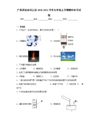 2020-2021学年广西河池市环江县九年级上学期期中化学试题（含答案与解析）