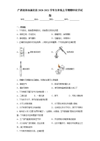 2020-2021学年广西钦州市浦北县九年级上学期期中化学试题（含答案与解析）