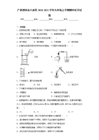 2020-2021学年广西贺州市八步区九年级上学期期中化学试题（含答案与解析）