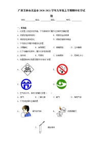 2020-2021学年广西玉林市北流市九年级上学期期中化学试题（含答案与解析）