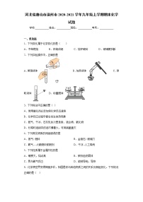 2020-2021学年河北省唐山市滦州市九年级上学期期末化学试题（含答案与解析）