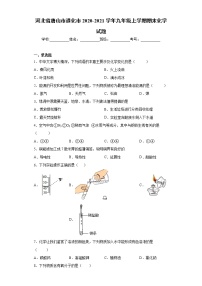 2020-2021学年河北省唐山市遵化市九年级上学期期末化学试题（含答案与解析）