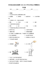 2020-2021学年河北省石家庄市栾城区九年级上学期期末化学试题（含答案与解析）