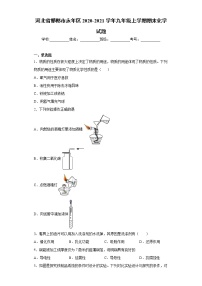 2020-2021学年河北省邯郸市永年区九年级上学期期末化学试题（含答案与解析）