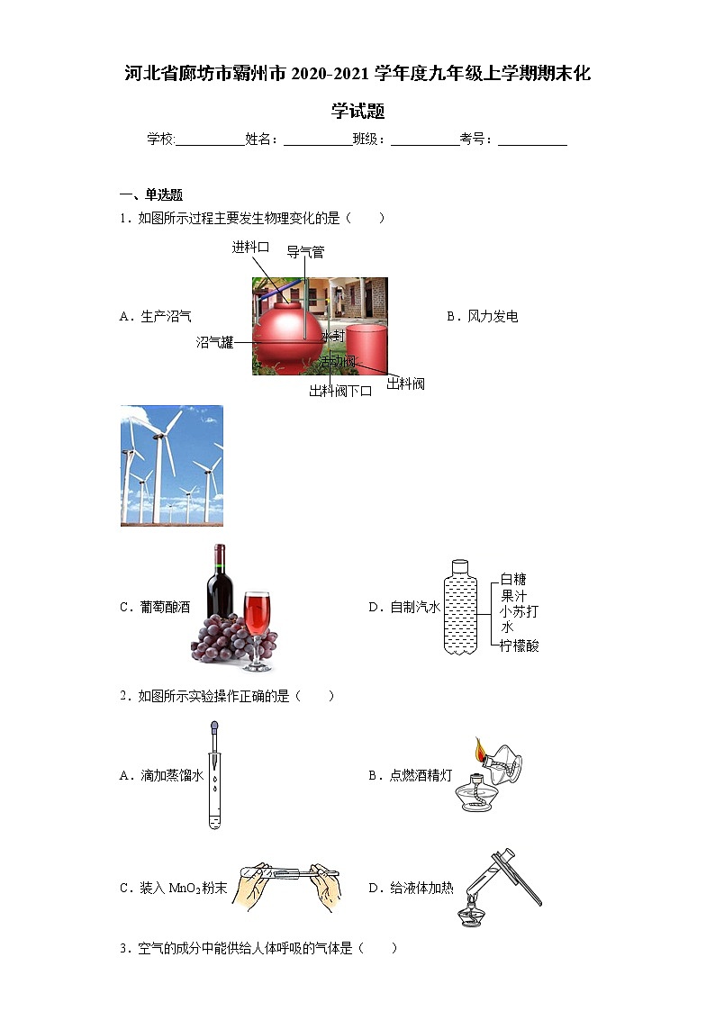 2020-2021学年河北省廊坊市霸州市九年级上学期期末化学试题（含答案与解析）第1页