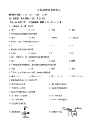 上海市崇明区2021-2022学年九年级上学期期末（一模）化学试题 带详解