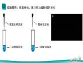 课题1生活中常见的盐（第3课时）2021-2022学年九年级化学下册同步（人教版）课件PPT