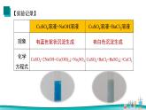 课题1生活中常见的盐（第3课时）2021-2022学年九年级化学下册同步（人教版）课件PPT