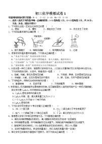 九年级化学下册模拟考试试卷 无答案