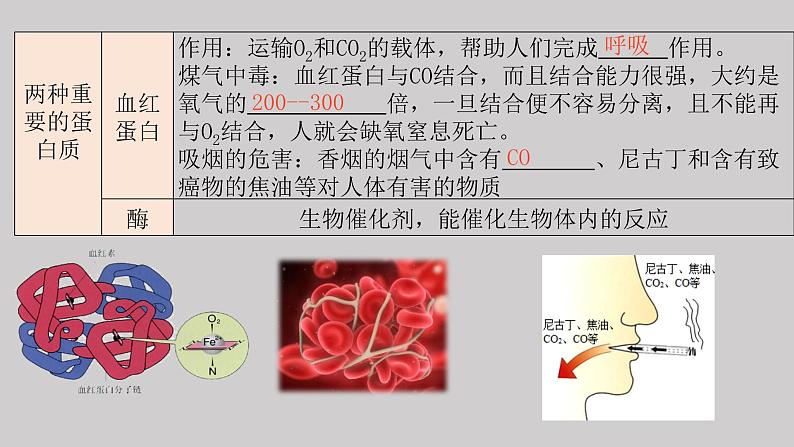 课题12.1人类重要的营养物质（课件）-2021-2022学年九年级化学下册课件（人教版）08