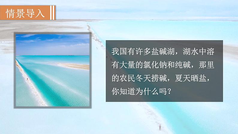 人教版九年级化学下册 9.2.2溶解度 课件第2页