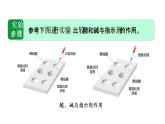 人教版九年级化学下册 10.3实验活动6  酸、碱的化学性质 课件