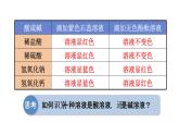 人教版九年级化学下册 10.3实验活动6  酸、碱的化学性质 课件