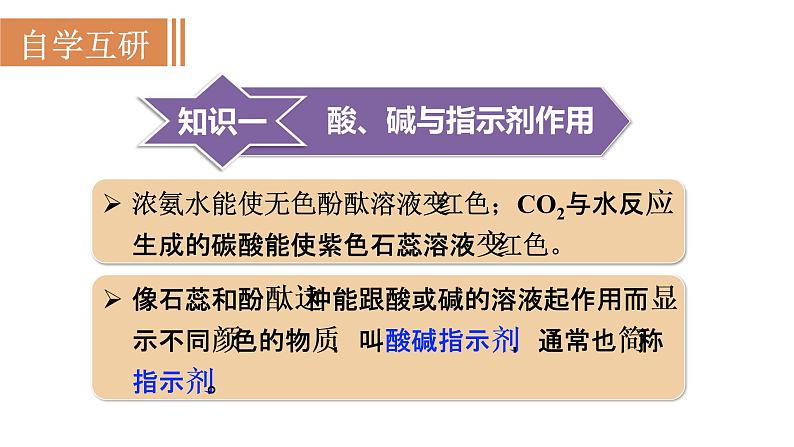 1第1课时　酸碱指示剂第3页