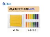 人教版九年级化学下册 10.2.2溶液酸碱度的表示法——PH 课件