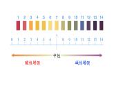 人教版九年级化学下册 10.2.2溶液酸碱度的表示法——PH 课件