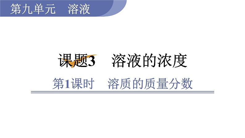 人教版九年级化学下册 9.3.1溶质的质量分数 课件01