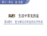 人教版九年级化学下册 11.1.2复分解反应和盐的化学性质 课件