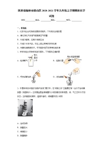 2020-2021学年陕西省榆林市横山区九年级上学期期末化学试题（含答案与解析）