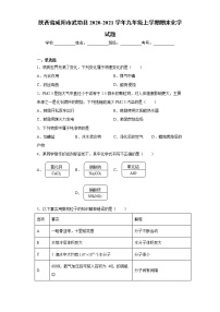 2020-2021学年陕西省咸阳市武功县九年级上学期期末化学试题（含答案与解析）